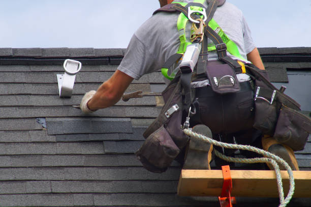 Best Residential Roofing Contractor  in Imlay City, MI