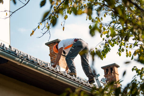 Best Storm Damage Roof Repair  in Imlay City, MI