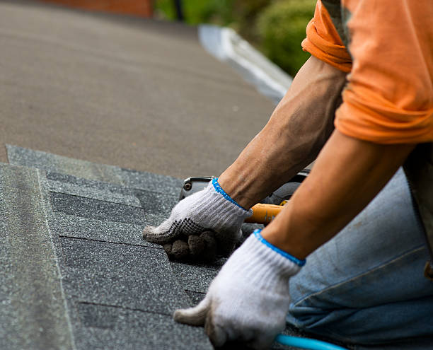 Best New Roof Installation  in Imlay City, MI