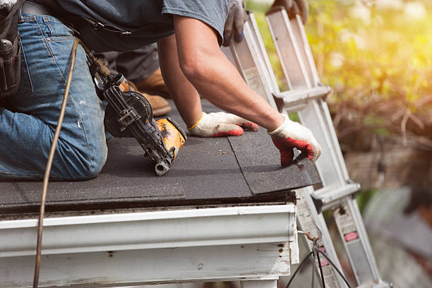 Best New Roof Installation  in Imlay City, MI