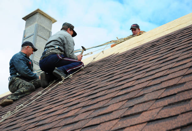 Trusted Imlay City, MI Roofing Contractor Experts