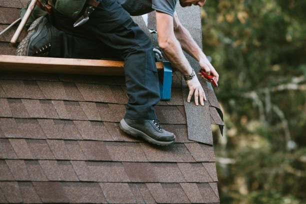 Best Best Roofing Contractors  in Imlay City, MI