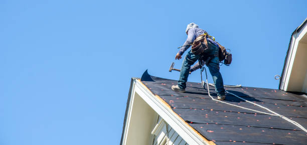 Best Best Roofing Contractors  in Imlay City, MI